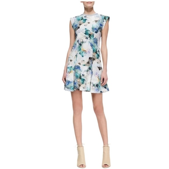 Rebecca Taylor - Enchanted Gardens Drop Waist Floral Print Dress Sz 10 - Picture 1 of 9